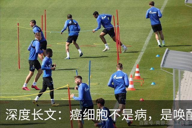 深度长文：癌细胞不是病，是唤醒了 25 亿年前的生存本能！